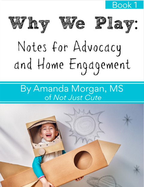 Why We Play: Notes for Advocacy and Home Engagement